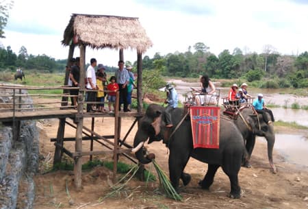 Giải pháp phát triển du lịch bền vững vùng Tây Nguyên