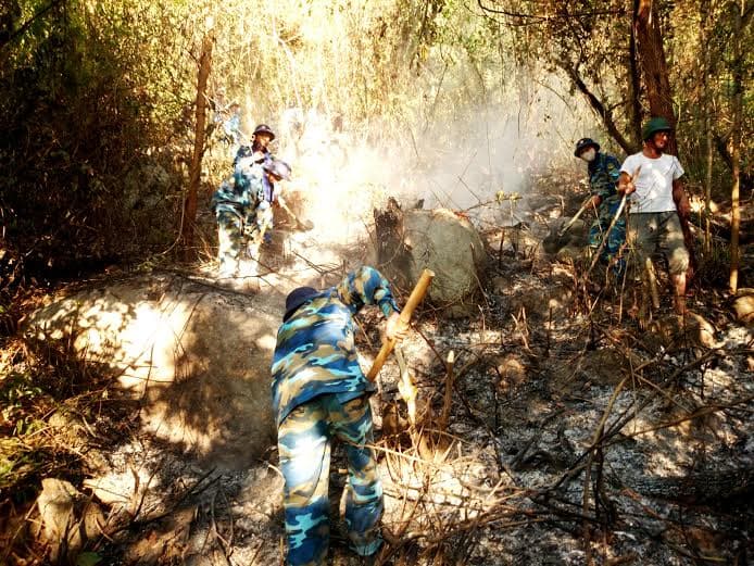 Vùng 3 Hải quân kịp thời chữa cháy rừng