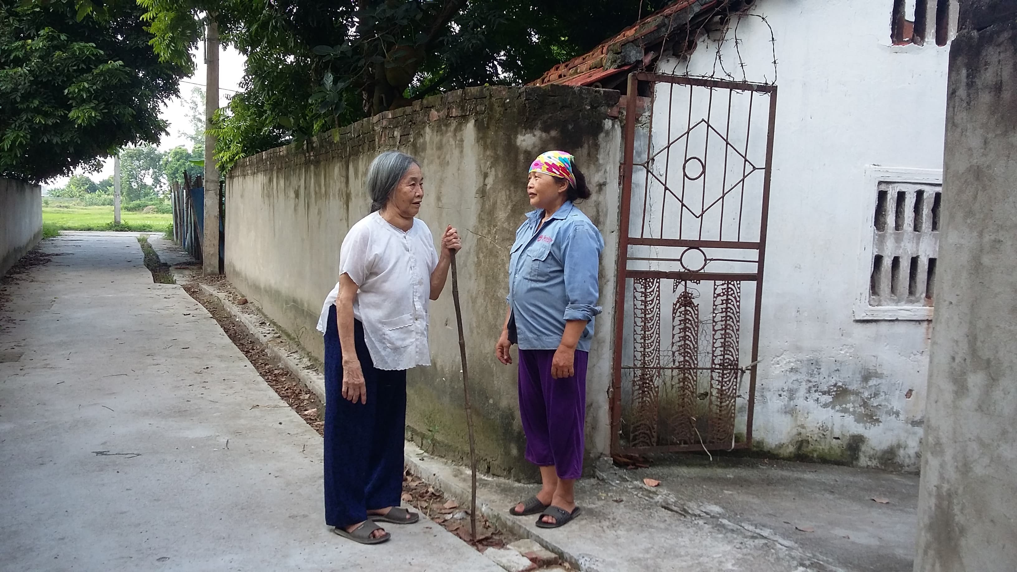 Nữ đảng viên hai lần hiến đất làm đường
