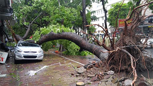 Hà Nội khẩn trương khắc phục sự cố sau bão