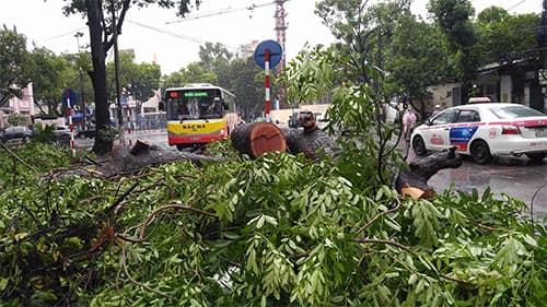 Đảm bảo giao thông thông suốt trên các tuyến giao thông trong mưa bão