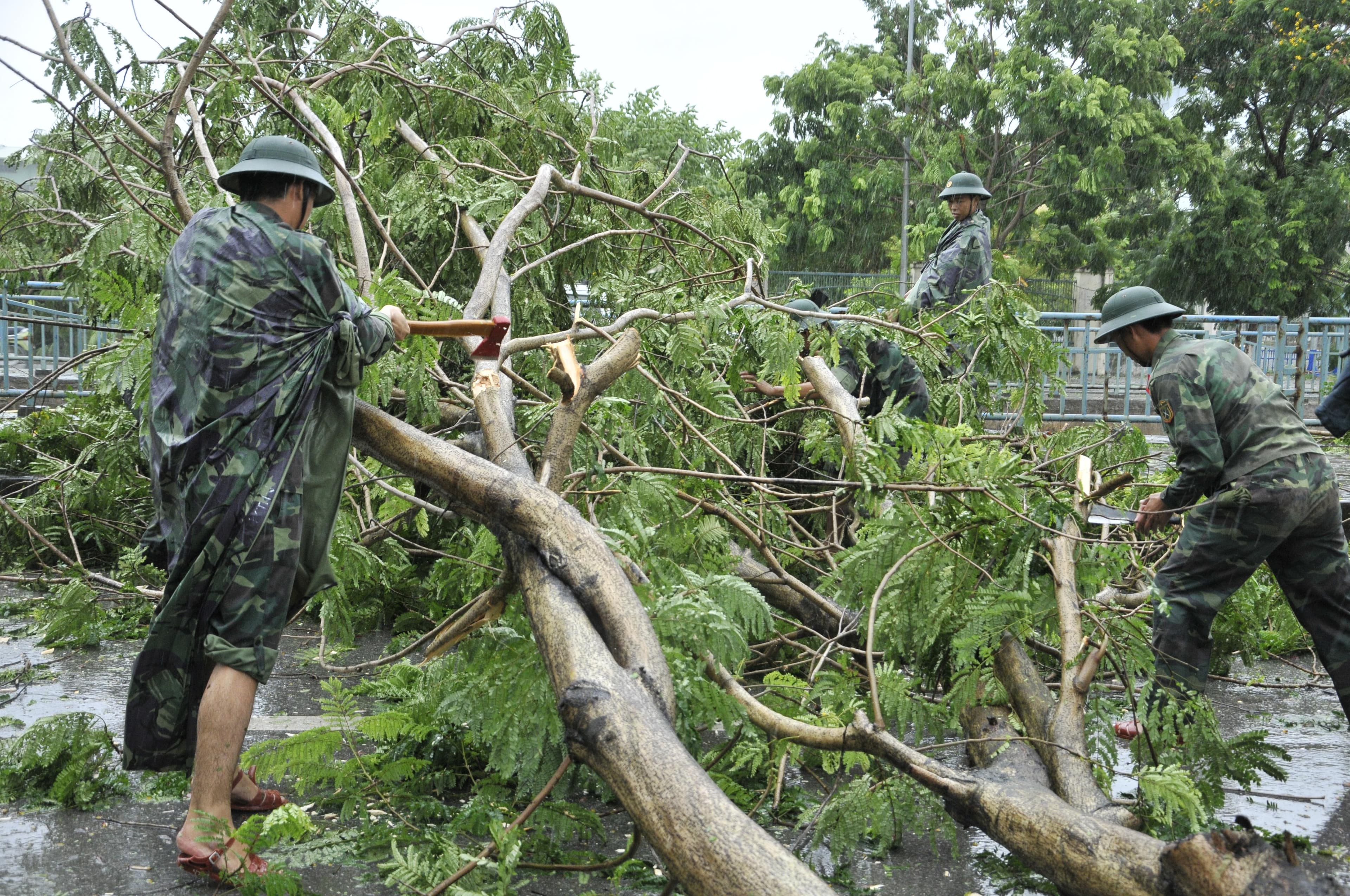 Hà Nội dồn lực khắc phục hậu quả bão
