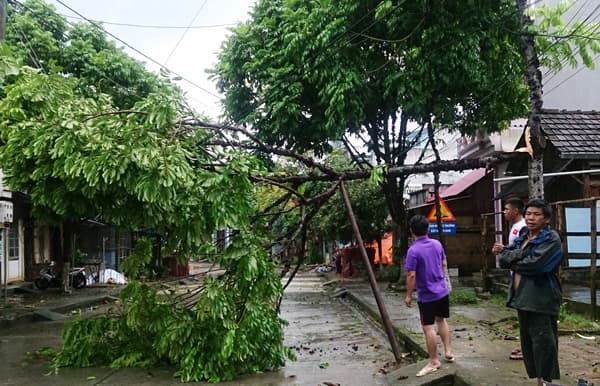 Các địa phương phía Bắc khẩn trương khắc phục hậu quả thiên tai
