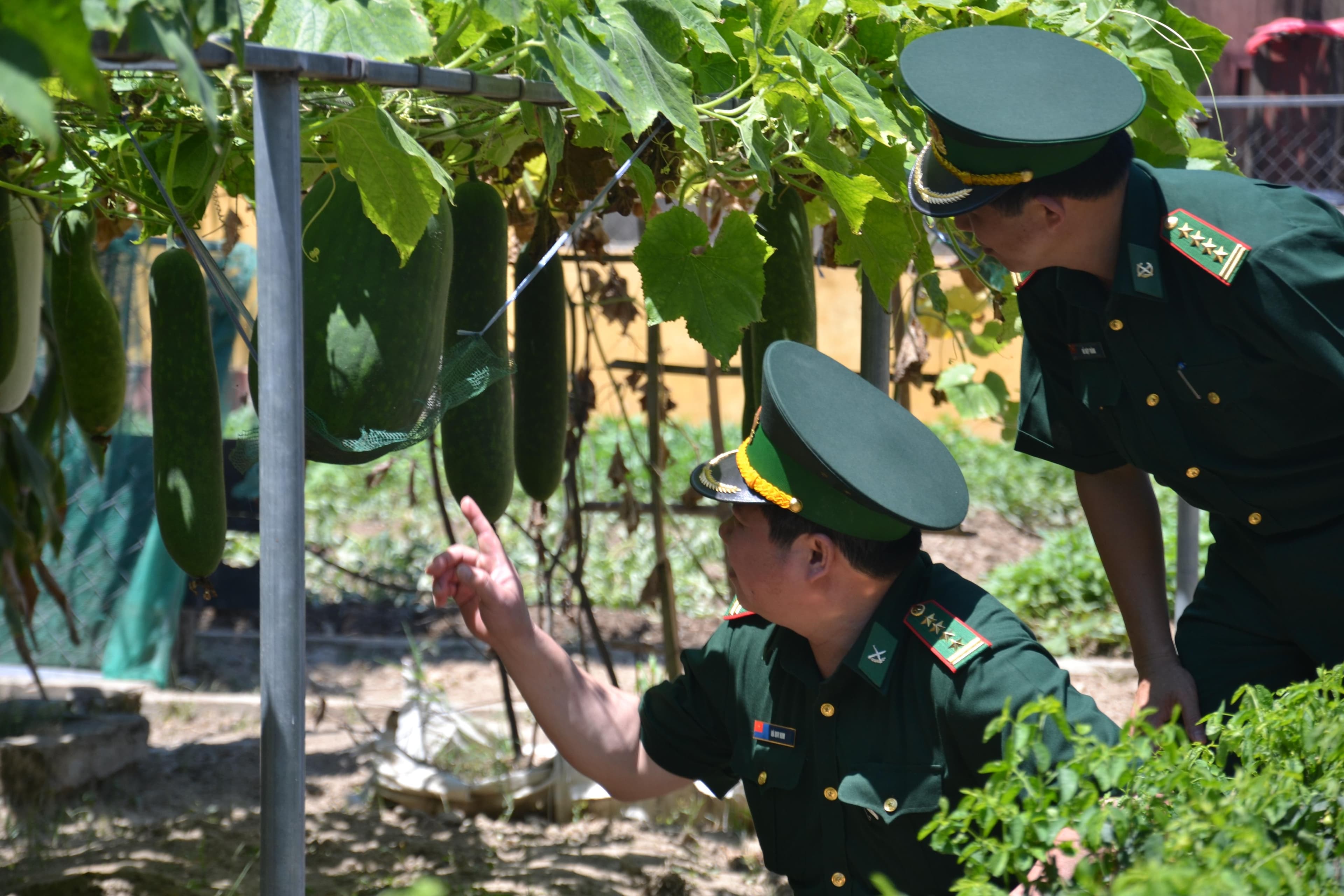 Nhiều giải pháp xây dựng đội ngũ cán bộ hậu cần