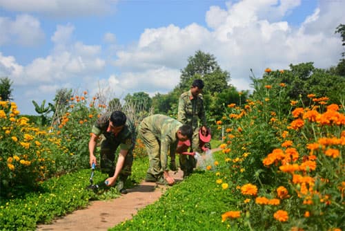 Có một "Lang Biang" giữa Buôn Đôn