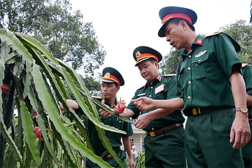 Đa dạng hóa cây trồng, vật nuôi trong tăng gia sản xuất