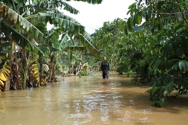 Đình chỉ thi công thủy điện Đại Bình