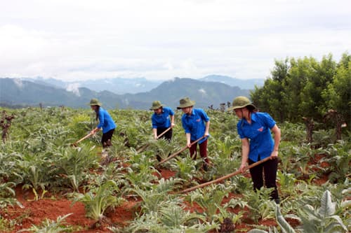 Tuổi thanh xuân nơi biên giới