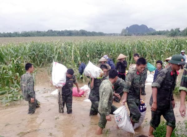 Sư đoàn 324 (Quân khu 4), thu hoạch ngô giúp nhân dân chạy lũ