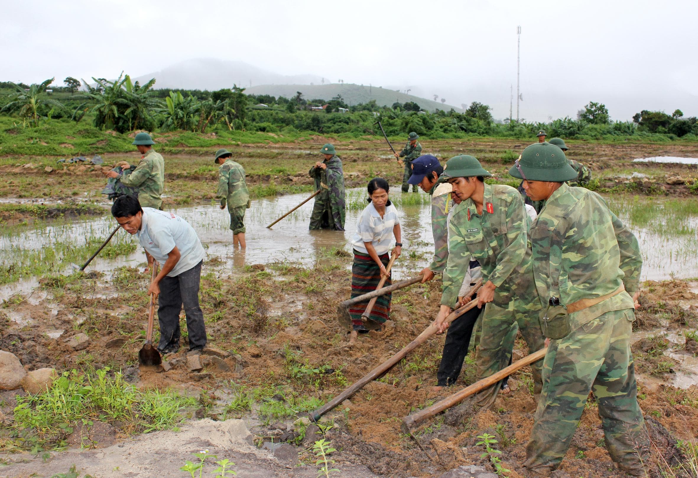 Bí quyết "bốn cùng" của bộ đội Sư đoàn 10