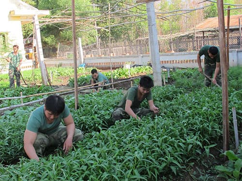 Hiệu quả mô hình tăng gia sản xuất ở vùng biên