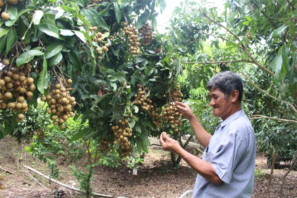 Đẩy mạnh liên kết tiểu vùng Đồng Tháp Mười