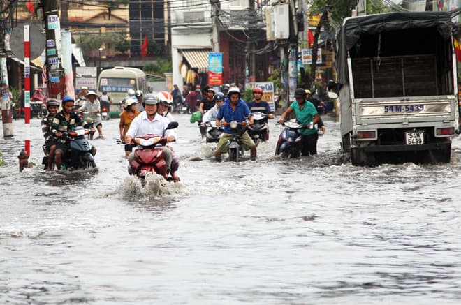 Thông tin từ đường dây nóng