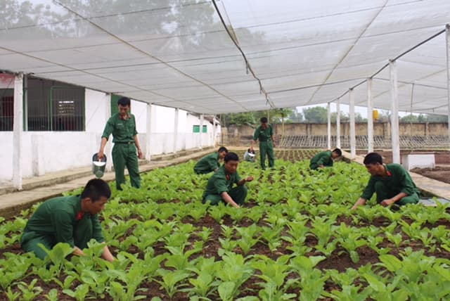 Khi "quân địa phương" tăng gia...