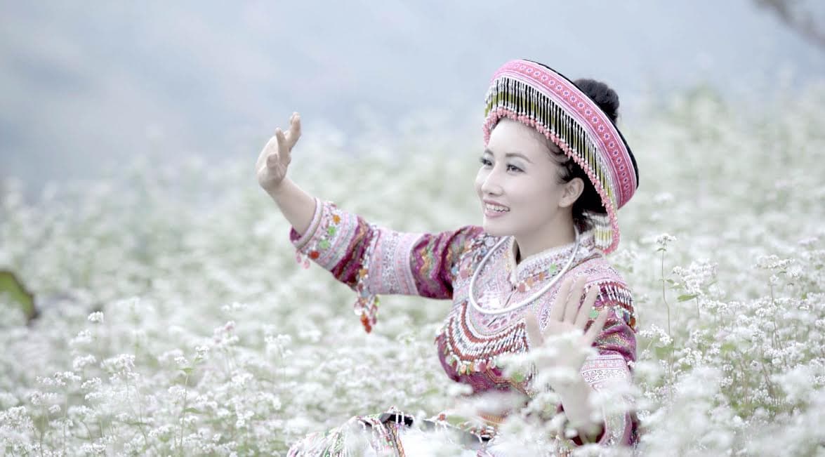 Bài hát hay ngợi ca hoa tam giác mạch