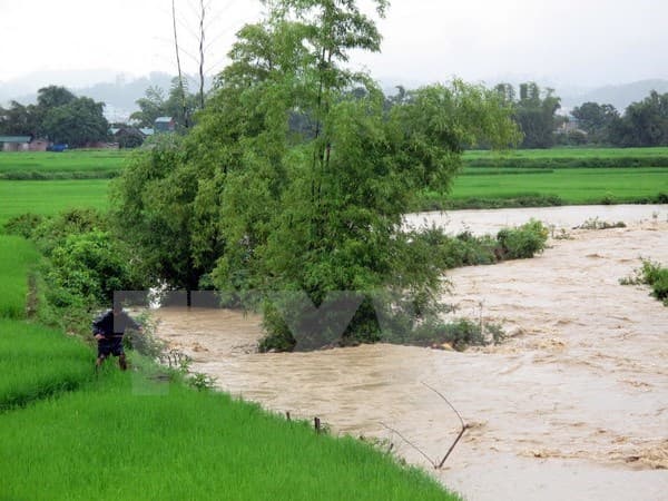 Bình Phước: Một nữ sinh bị lũ cuốn trôi