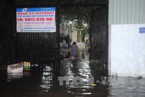 Thành phố Hồ Chí Minh: Vỡ bờ bao, hàng chục hộ dân phải sơ tán