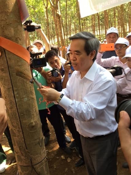 Lai Châu chính thức đón dòng “vàng trắng” đầu tiên