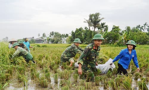 Tình quân dân nơi đất Cảng