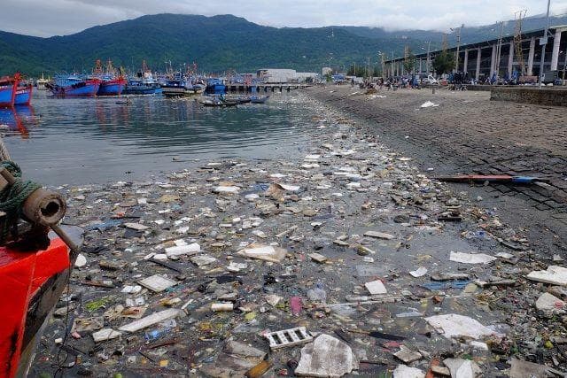Tình trạng ô nhiễm ở Âu thuyền Thọ Quang: Sớm triển khai phương án khắc phục