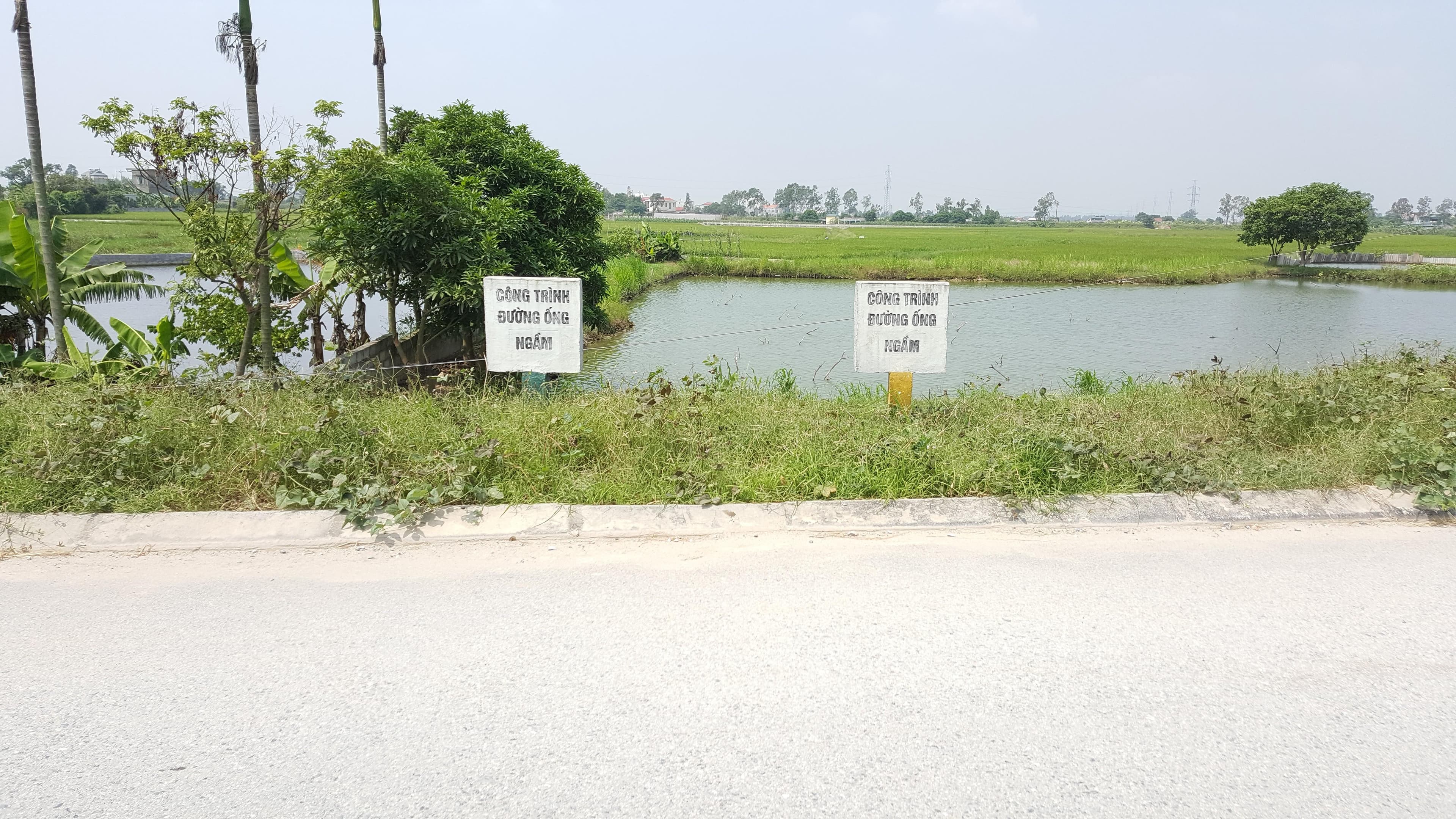 TP Hải Dương, tỉnh Hải Dương: Người dân thiệt thòi vì đất "tạm thu hồi"