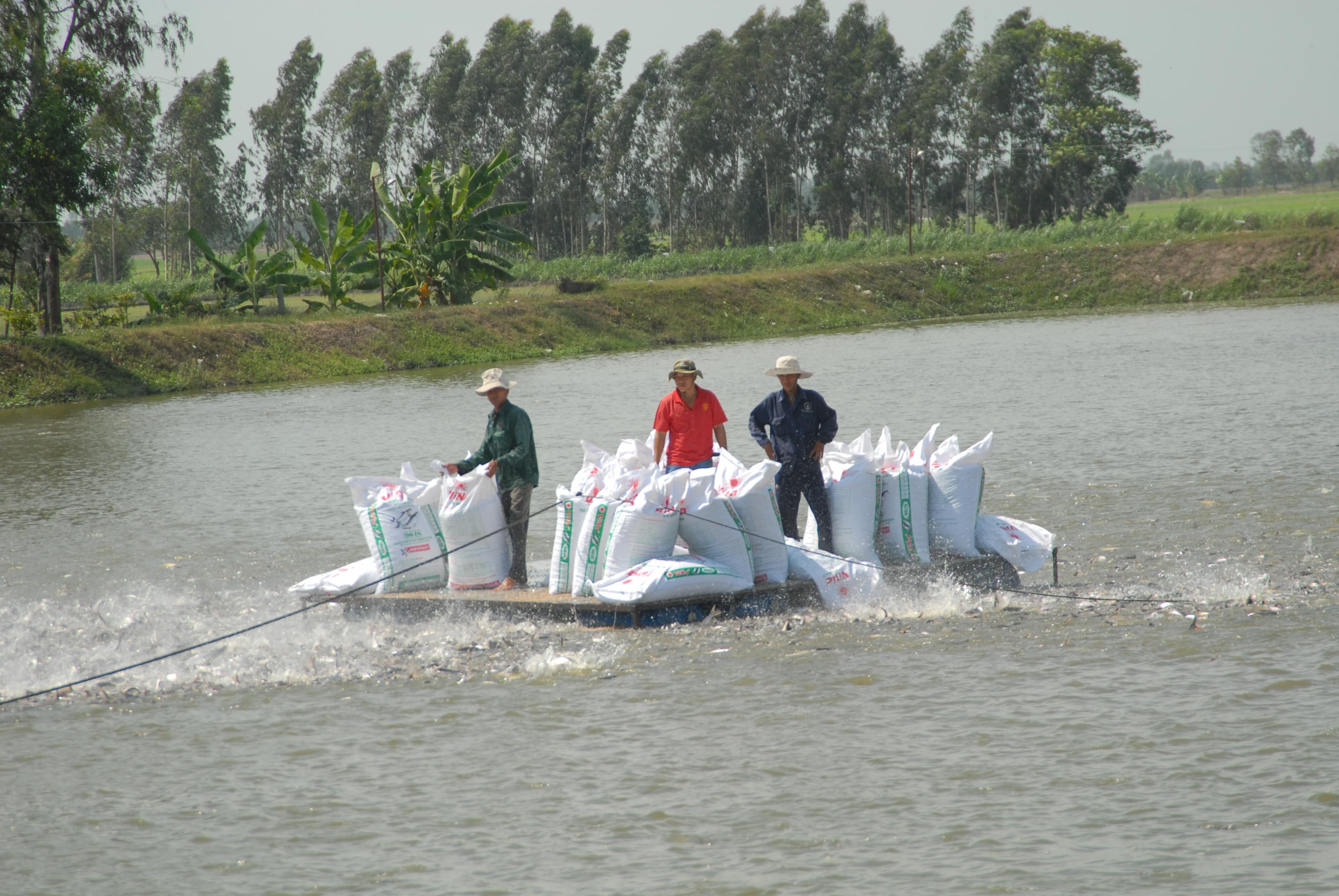 Hướng dòng tín dụng vào tái cơ cấu sản xuất nông nghiệp
