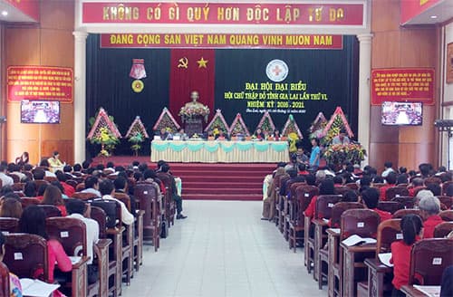 Hội Chữ thập đỏ tỉnh Gia Lai huy động hơn 91 tỷ đồng cho các hoạt động nhân đạo