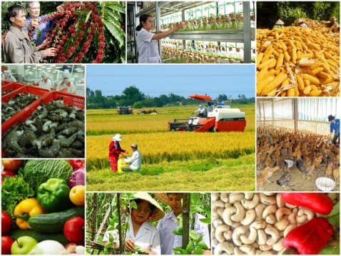 GIẢI “CƠN KHÁT” VỐN CHO NGÀNH NÔNG NGHIỆP