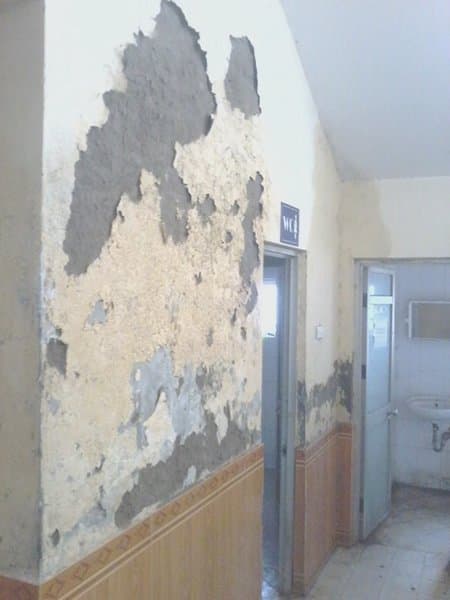 Thông tin từ đường dây nóng