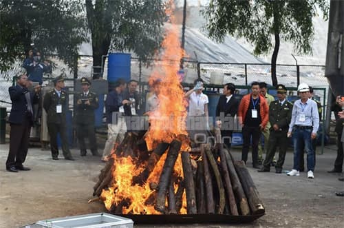 Tiêu hủy hơn 2 tấn ngà voi, sừng tê giác nhập lậu