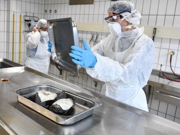 Đức, Thụy Sĩ ghi nhận sự bùng phát mới của virus cúm gia cầm H5N8