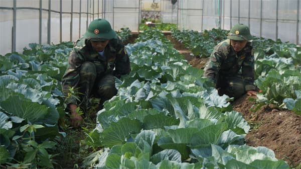 Binh chủng Thông tin liên lạc: Bảo đảm hậu cần cho tiến lên hiện đại