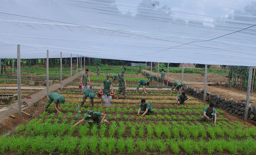 Tăng gia gắn với bảo vệ môi trường