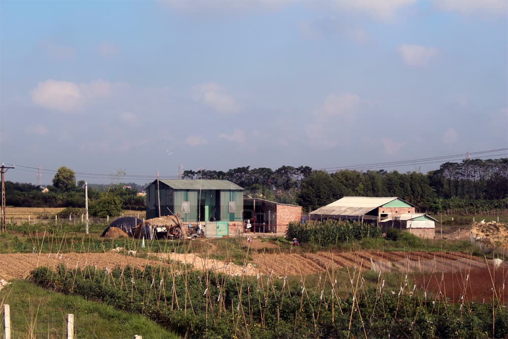 Vi phạm tràn lan, xử lý thiếu kiên quyết