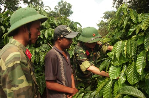 Chung tay xây dựng Tây Nguyên giàu mạnh