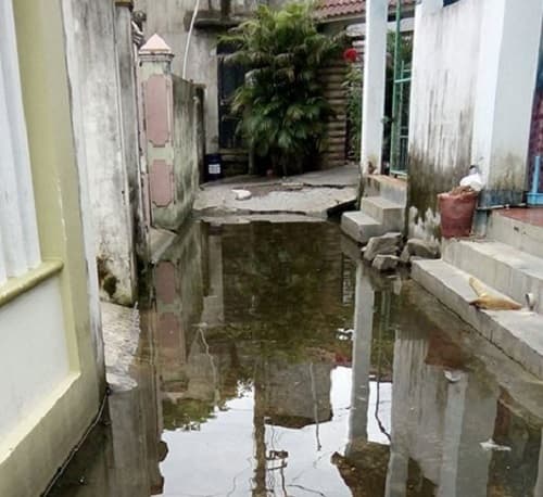 Thông tin từ đường dây nóng