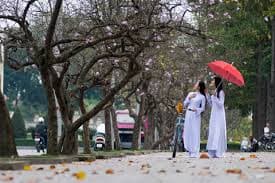 HÀ NỘI SÚNG VÀ HOA