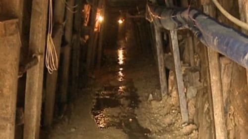 CHDC Congo: Ít nhất 20 người thiệt mạng trong vụ sập mỏ vàng
