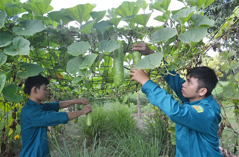 “Sao vuông” xã Biên Giới tăng gia tốt ở vùng biên