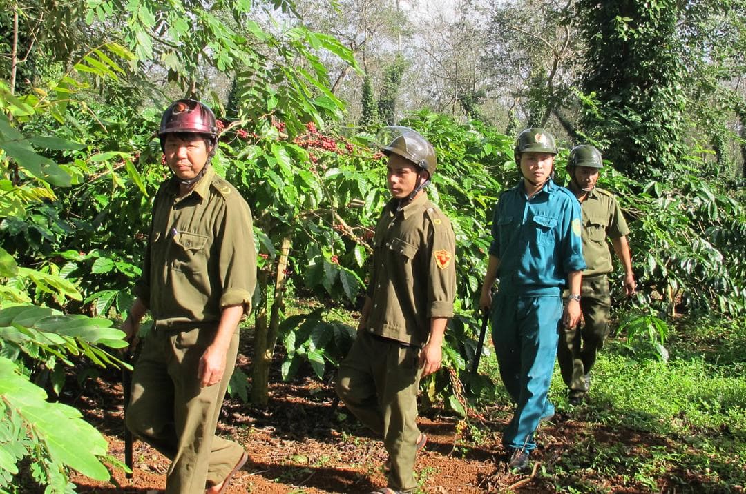Bảo đảm an ninh trong mùa thu hoạch cà phê ở Tây Nguyên