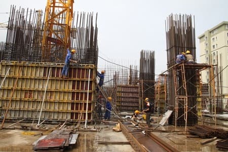 Thông tin từ đường dây nóng