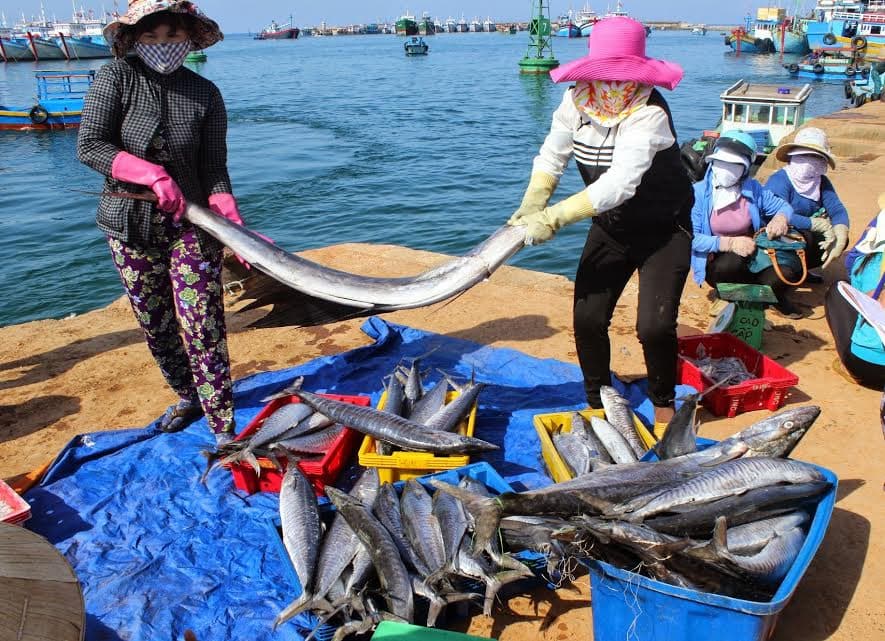 Huyện đảo Phú Quý đạt chuẩn nông thôn mới