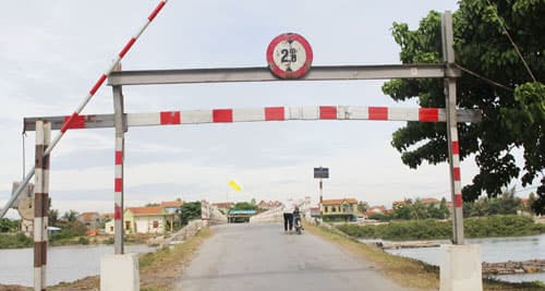 Thông tin từ đường dây nóng