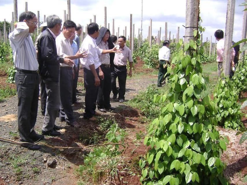 Cựu chiến binh Gia Lai với "Hai xóa, ba giúp, ba mô hình"