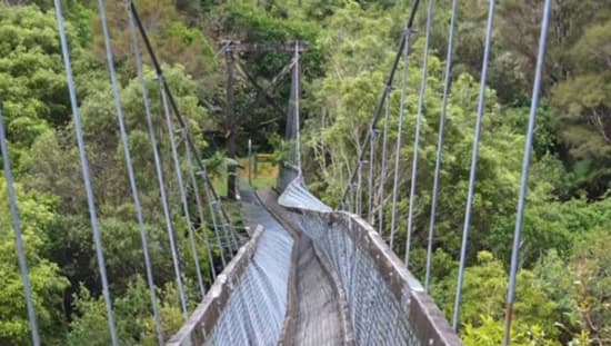 Sập cầu treo và chìm tàu tại Colombia, hàng chục người thiệt mạng