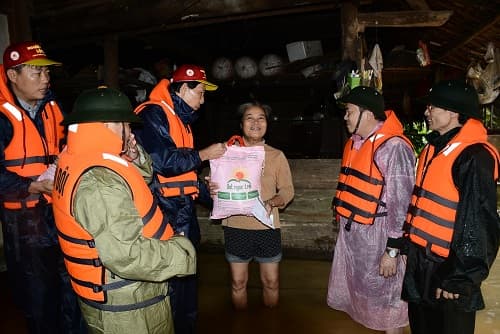 Hạt ngọc trời tỏa hương thơm vùng lũ