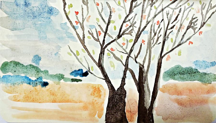 Xuân cảm