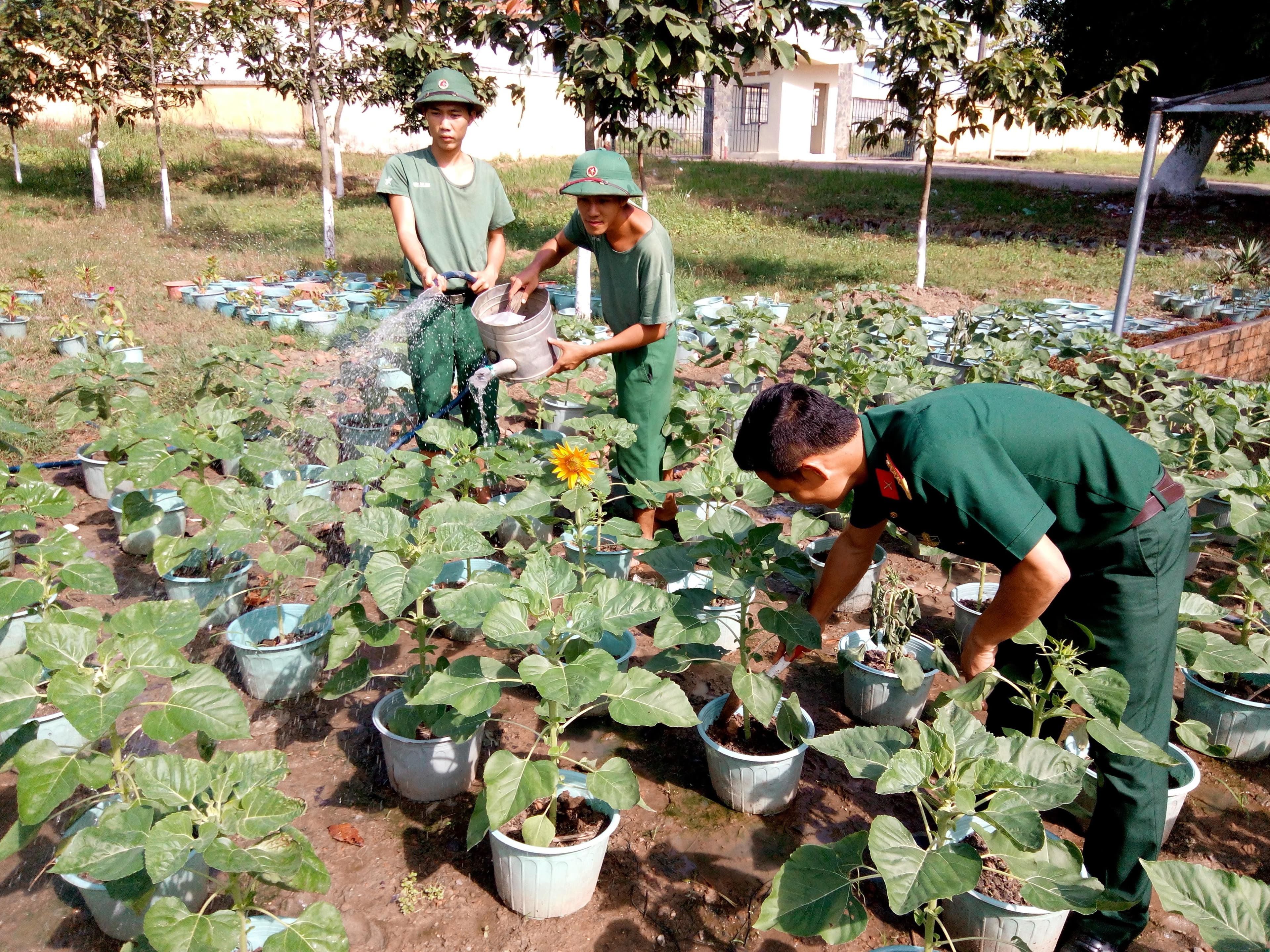 Những ngày cuối năm ở Sư đoàn 309