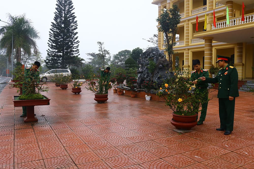 Sắc xuân ở Lữ đoàn 229