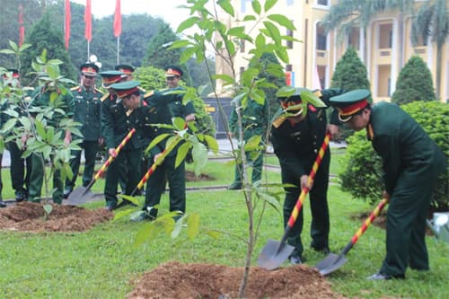 Sư đoàn 324 phát động Tết trồng cây năm 2017